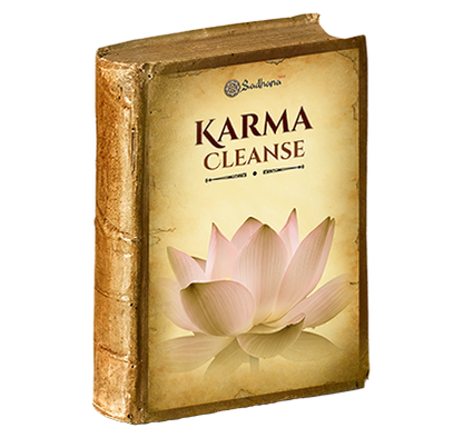 Karma Cleanse
