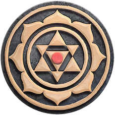 Sadhana App